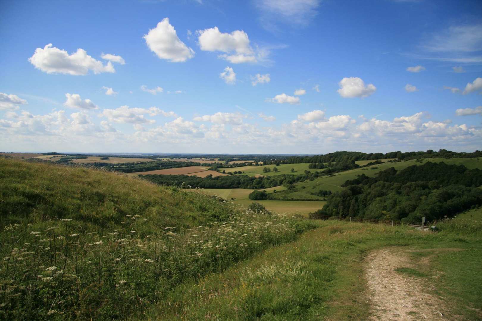 South Downs Way - West Section